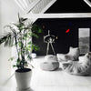 Acoustic Sofa Tundra Spring Indendørs sækkestol