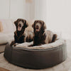 Hundeseng Supernova Cappuccino L Hundeseng L