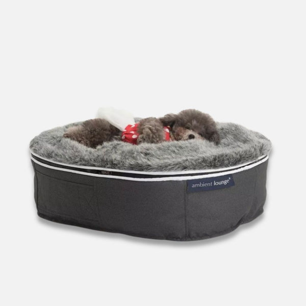 Hundeseng Supernova Gray Wolf S Hundeseng S