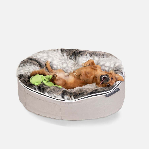 Hundeseng Sandstorm Wild Animal M Hundeseng M