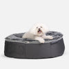 Hundeseng Supernova Gray Wolf M Hundeseng M