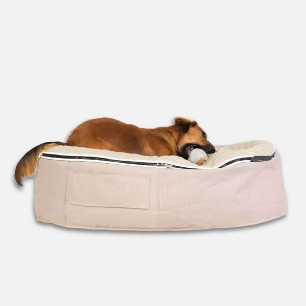 En brun hund ligger på en Ambient Lounge-hundeseng og tygger på et hvidt stykke legetøj på en almindelig hvid baggrund.