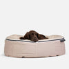 En brun hund ligger i en Ambient Lounge hundeseng med lynlås og quiltet ThermoQuilt-top. Hunden hviler hovedet på kanten og ser afslappet og komfortabel ud. Baggrunden er helt hvid.