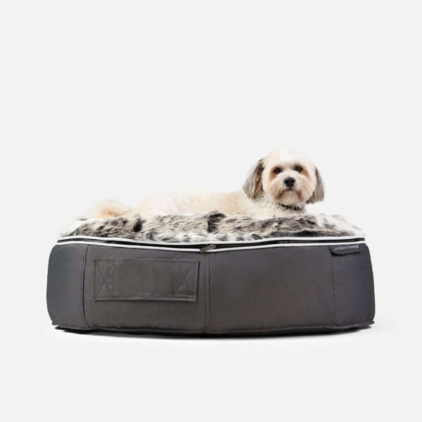 Hundeseng Supernova Wild Animal M Hundeseng M