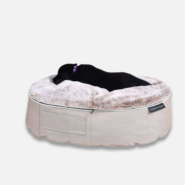 Hundeseng Sandstorm Cappuccino S Hundeseng S