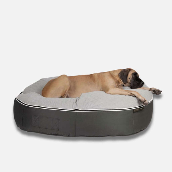 Hundeseng Supernova ThermoQuilt XL Hundeseng XL