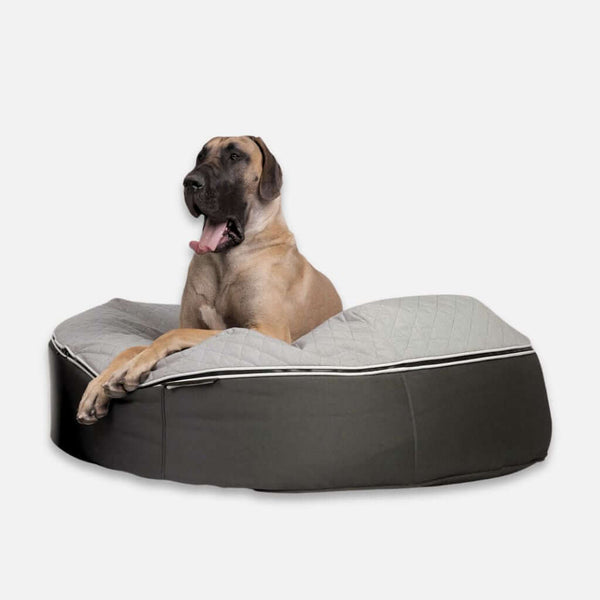 Hundeseng Supernova ThermoQuilt XL Hundeseng XL