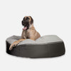 Hundeseng Supernova ThermoQuilt XL Hundeseng XL