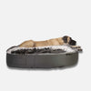 Hundeseng Supernova Wild Animal XL Hundeseng XL