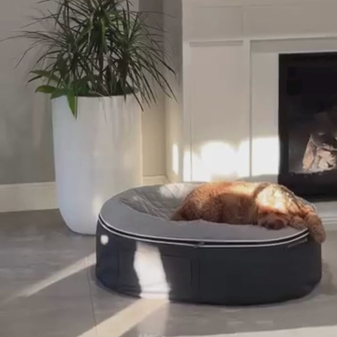 Hundeseng Supernova ThermoQuilt M Hundeseng M