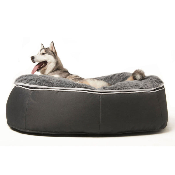 Hundeseng Supernova Gray Wolf L Hundeseng L